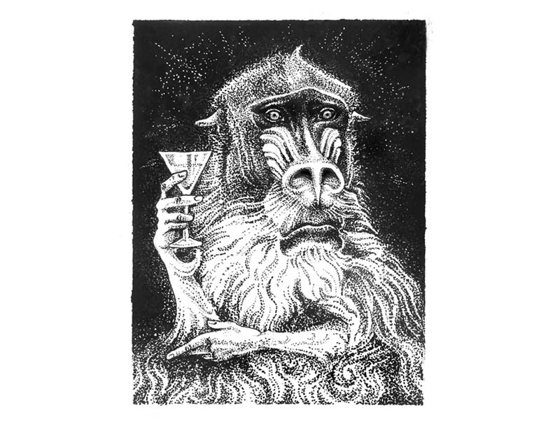 a pen and ink illustration of a worried looking mandrill holding a martini