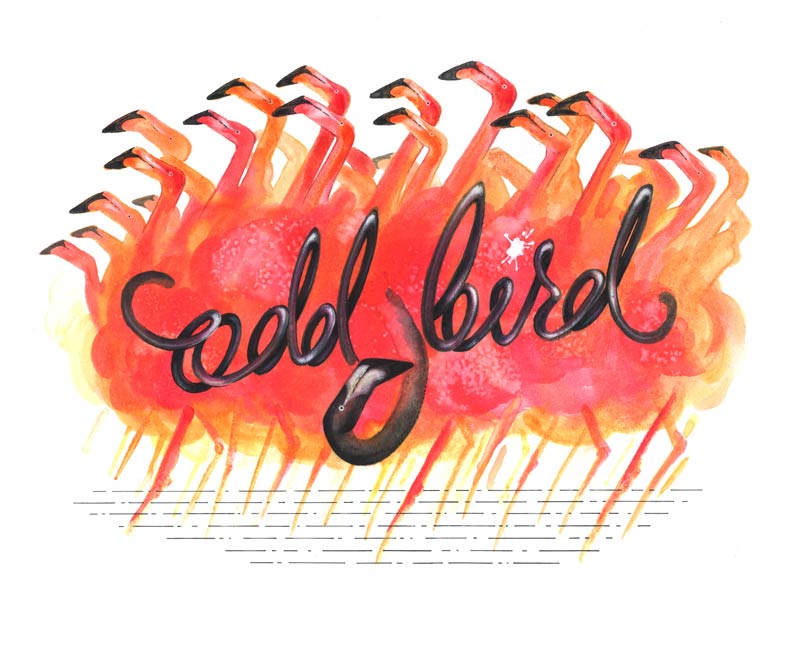 A watercolor and ink illustration of a group of pink flamingos facing left, one black flamingo facing right and script lettering of the words odd bird
