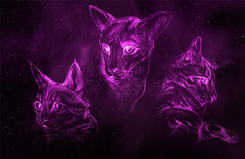 A digital illustration of three cats grouped together with a galactic star field in the background