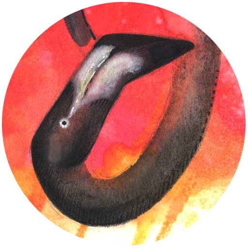 A watercolor and ink illustration of a black flamingo on a pink background